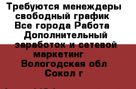 Требуются менеждеры, свободный график - Все города Работа » Дополнительный заработок и сетевой маркетинг   . Вологодская обл.,Сокол г.